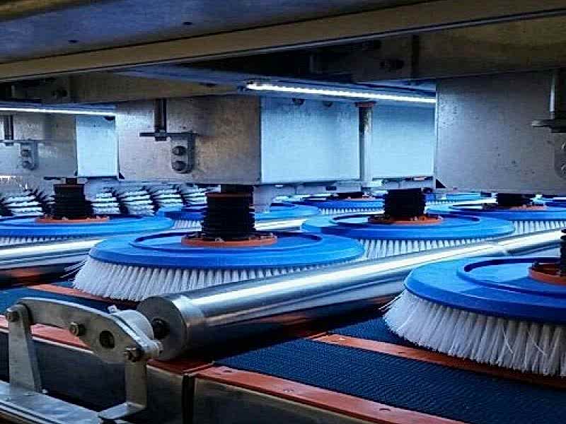 Darıca Halı Yıkama ile halılarınız ilk günkü gibi.