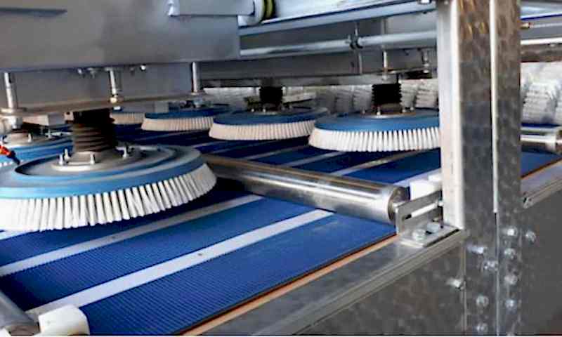 Halılarınız bizimle güvende! Darıca Halı Yıkama.