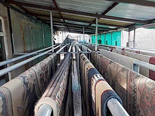 Darıca Halı Yıkama