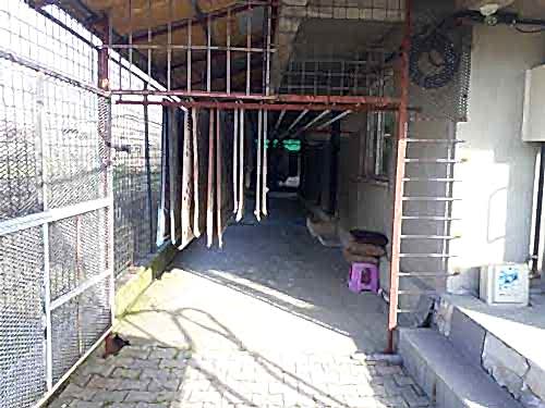 Halılarınızın yeniden doğuşuna tanık olun! Pendik'teki uzman ekibimizle halılarınızı ilk günkü gibi tertemiz yapıyoruz.